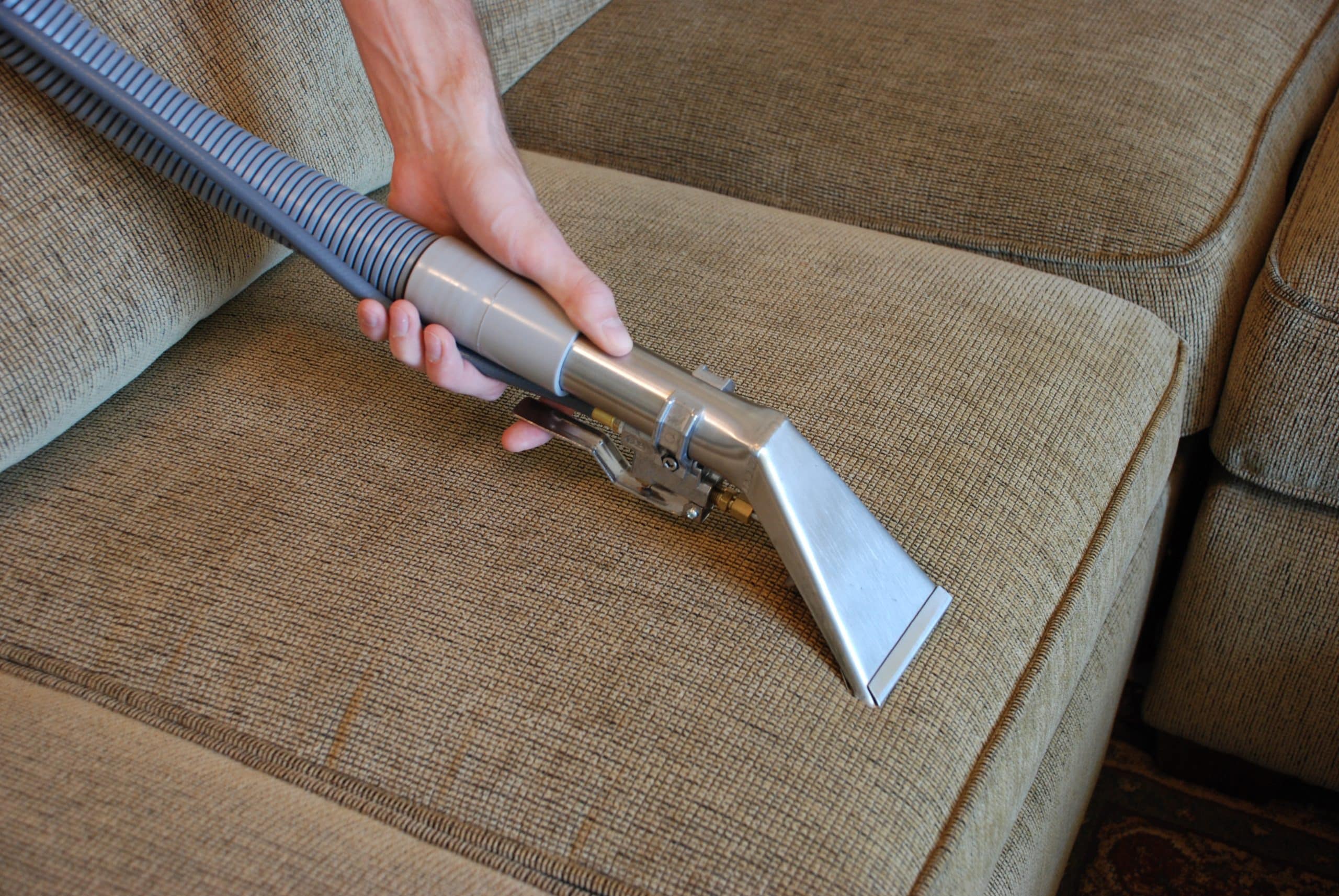 Reasons for Professional Upholstery Cleaning