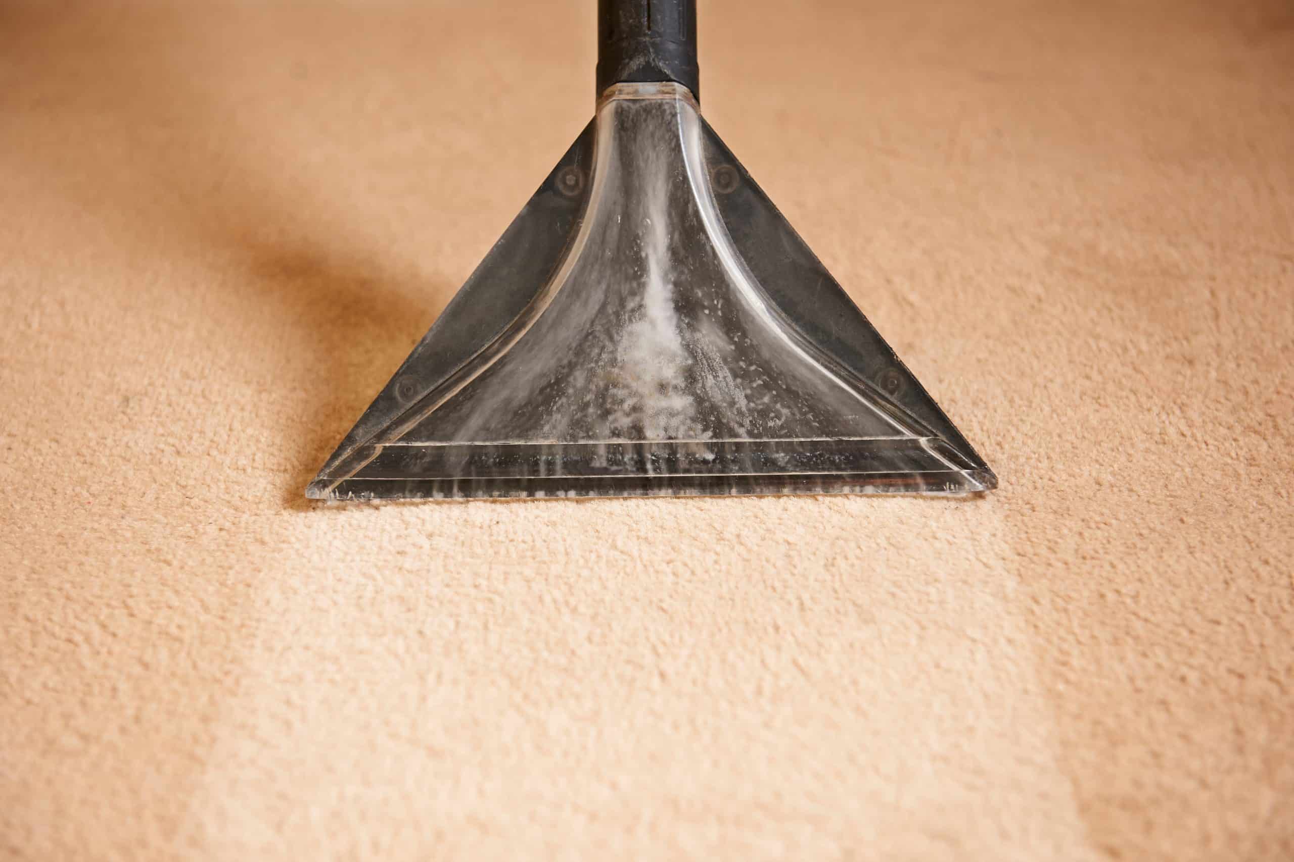 Tips To Protect Your Floors During The Holidays—Part 1